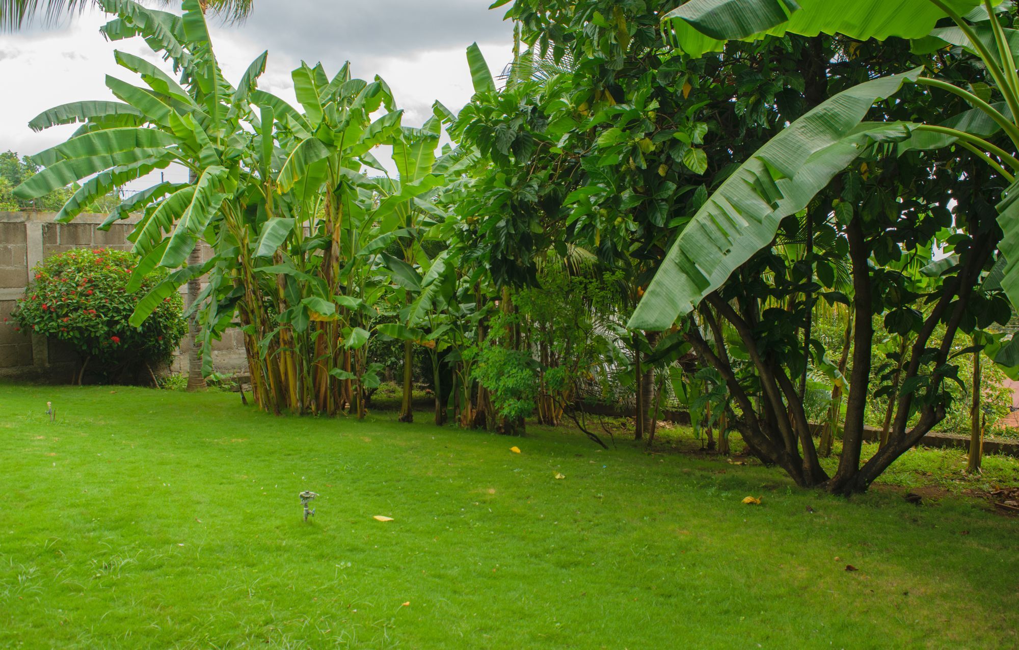Hotel Fontana Managua Esterno foto